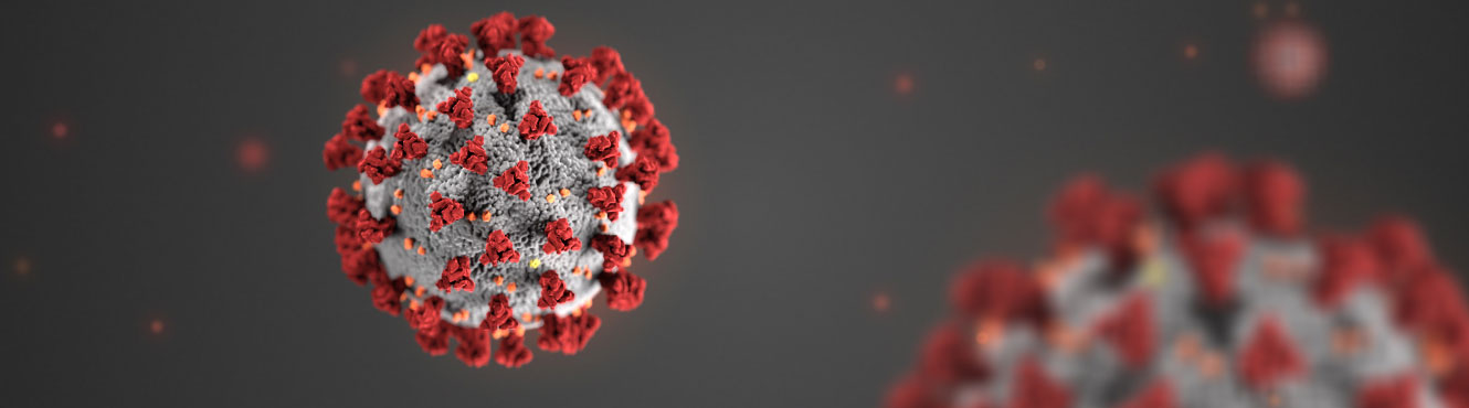 Coronavirus – COVID 19, an invisible enemy attacking the performance of agreements